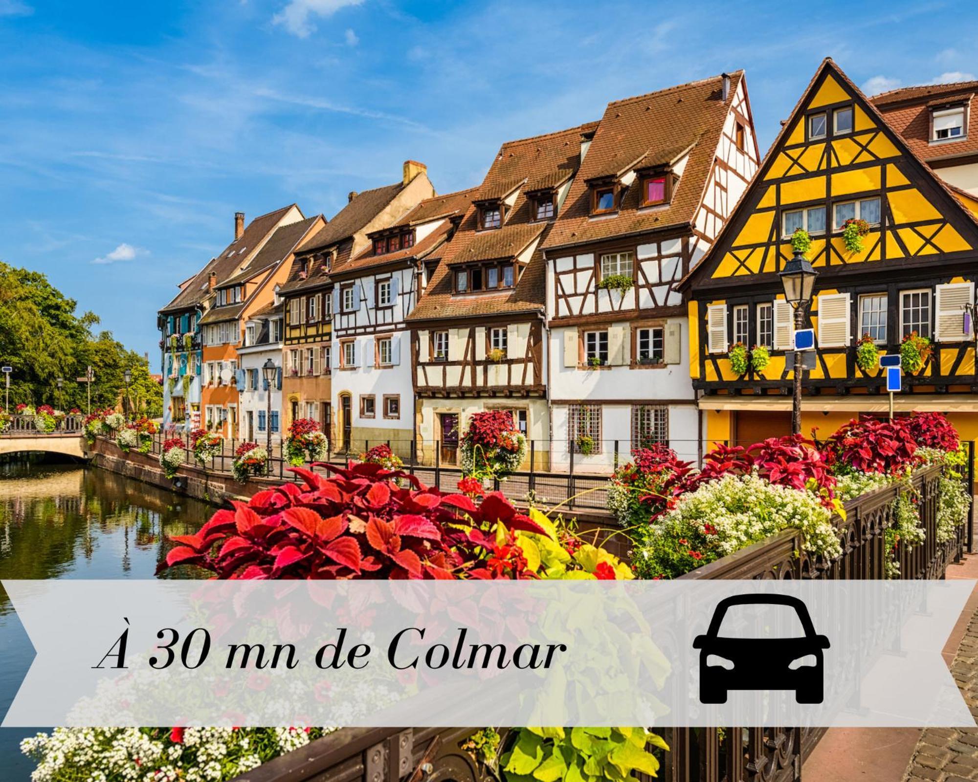 Le K - Mulhouse Centre Apartment Bagian luar foto